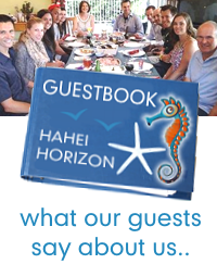 Guest testimonials from Trip Advisor